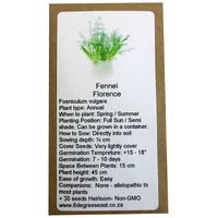 6 degrees east Herloom Herb Seeds - Fennel -Florence